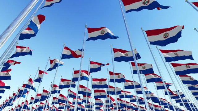Many flags of Paraguay blowing in the wind against blue sky. Three dimensional rendering animation.
