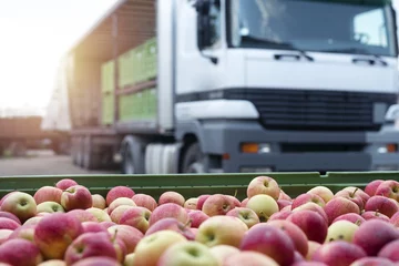 Crédence de cuisine en verre imprimé Manger Distribution de fruits et de nourriture. Camion chargé de conteneurs remplis de pommes prêtes à être expédiées au marché.