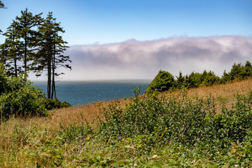 view of the pacific ocean from ecola state park cannon beach oregon in the pacific coast of oregon pacific northwest usa © yvonne navalaney