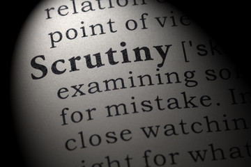 definition of scrutiny