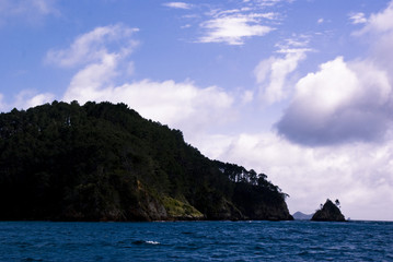 Naklejka na ściany i meble Landscape of the New Zealand ocean coasts.