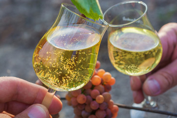 Anstoßen mit zwei Weingläsern vor einer Weinrebe