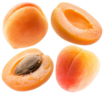 collection of apricot and peach slices isolated on a white background