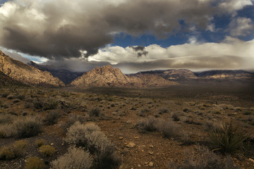 Cloudy Desert