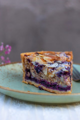 Blueberry Crumble Tart Still Life