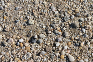 Beach stones of different shapes and sizes.