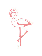 flamingo clipart comic cartoon vogel pink süß niedlich