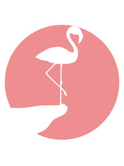 fläche mond kreis rund klippe silhouette umriss flamingo clipart comic cartoon vogel pink süß niedlich