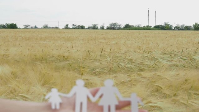 Symbol of the family in female hands. The family is cut from paper on the background of a field of wheat.
