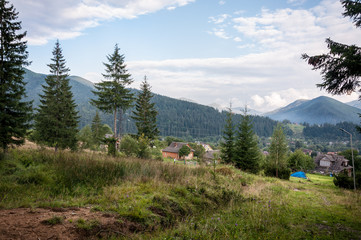 Fototapeta na wymiar mountain valley with tall trees after a rain on a summer