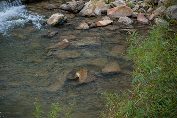 mountain valley with a river after a rain on a summer