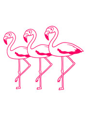 3 freunde team crew flamingo clipart comic cartoon vogel pink süß niedlich
