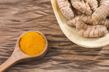 Turmeric root and powder - Curcuma longa