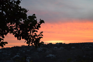 Obraz premium Sebastopol