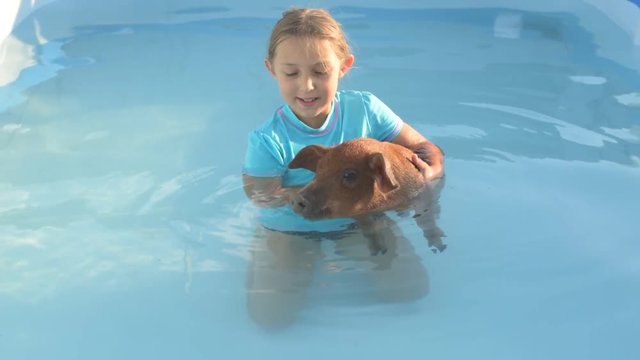 Young girl in bathing suit is swimming in clear, blue water of pool with red pig of Duroc breed. 2019 year of yellow pig. Concept of friendship between man and animals, respect for nature