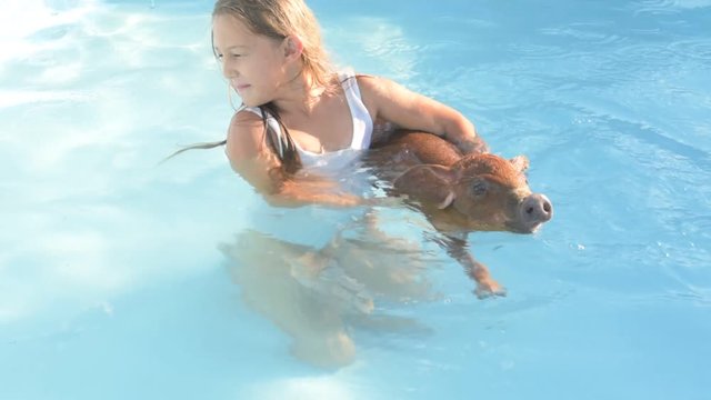 Young girl in bathing suit is swimming in clear, blue water of pool with red pig of Duroc breed. 2019 year of yellow pig. Concept of friendship between man and animals, respect for nature