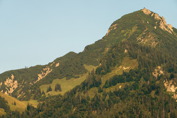 Stripsenkopf