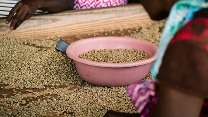 Coffee Sifting 