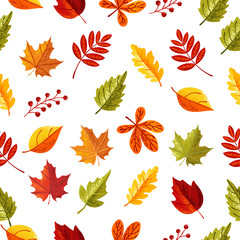 Leaves seamless pattern in autumn season