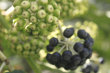 California, April 2012