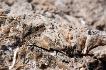 mountain stone on a hot summer