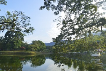Fototapeta na wymiar a greeny view at Taiping Lake