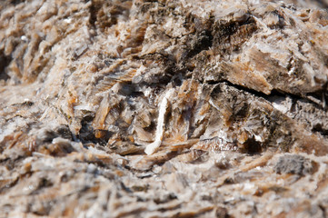 mountain stone on a hot summer