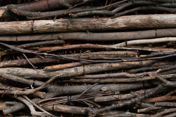Wall of long and brown organized sticks