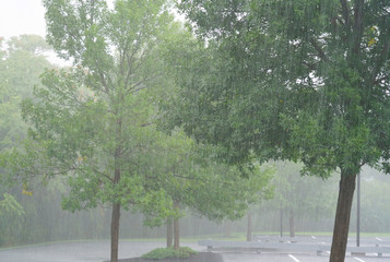 parking lot in the heavy rain in summer thunderstorm