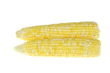 close up on fresh corn cob isolated on white background