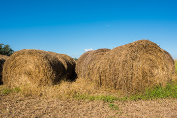 Close up of hay bale in a pasture in the rural area of Inman, South Carolina.