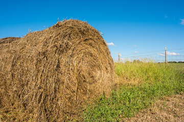 Close up of hay bale in a pasture in the rural area of Inman, South Carolina.