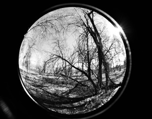 Naklejka premium Tiff