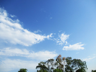 blue sky clouds trees and landscape