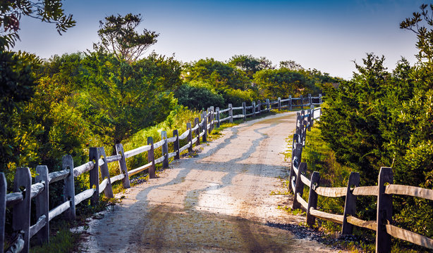 Dune Path