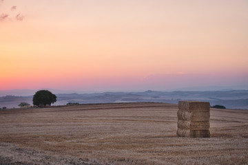 Toscana Field ans Sunset