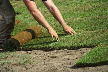 close up on worker installing turf on the lawn