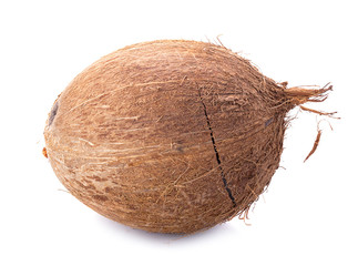 coconuts isolated on the white background