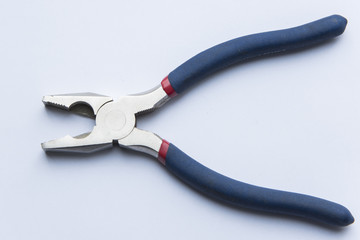 nipper on a white background