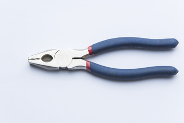 nipper on a white background