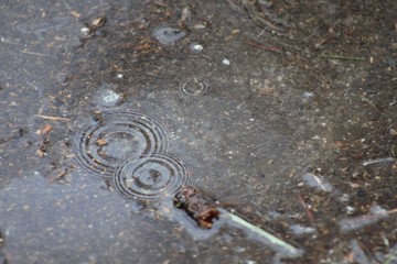 April Showers
