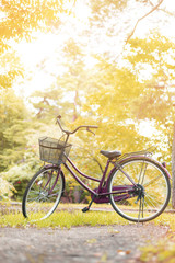 Fototapeta na wymiar Bicycle in beauty nature background.