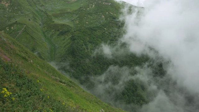 Fog and clouds envelop the mountain gorge