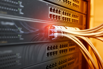 network cable connecting on network core switch close up