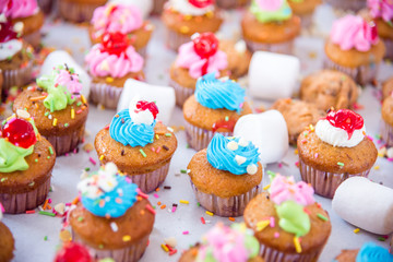 Fototapeta na wymiar Many tasty colorful cupcakes on white background
