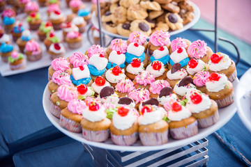 Many tasty colorful cupcakes on white plate at party