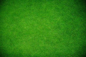 Top view of green natural grass field ,using for background.