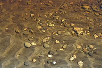 Stream flowing into Lake Kaniere, West Coast, New Zealand