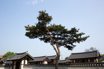 Fototapeta na wymiar Gyeonggijeon Hall is a famous tourist spot in Jeonju Hanok Village.