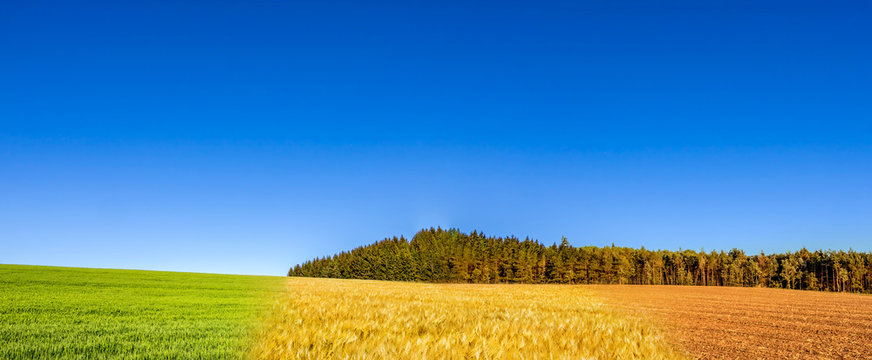 Panoramic collage of spring, summer and autumn field